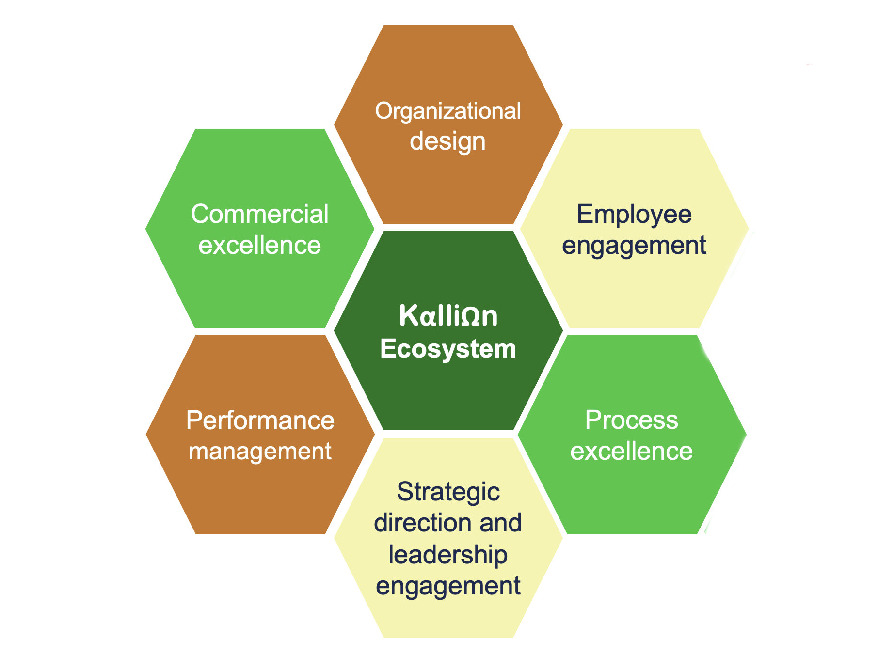 Laboratory design, Operational Excellence training, ⁠Lean training, Laboratory Operational Excellence, Laboratory Lean, ⁠Laboratory automation